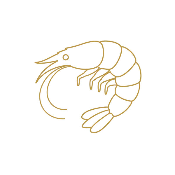 Gulf Shrimp