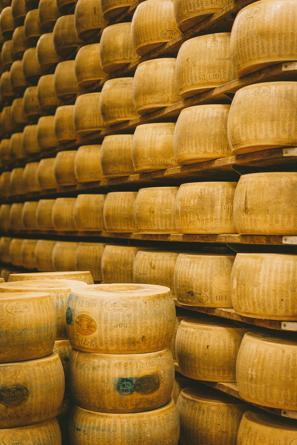24 Month Aged Parmigiano Reggiano